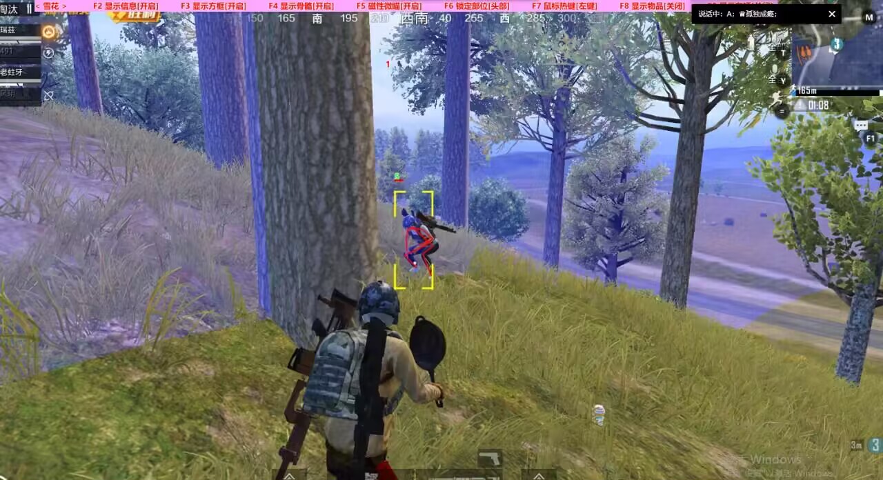 和平精英迪达拉Pro辅助